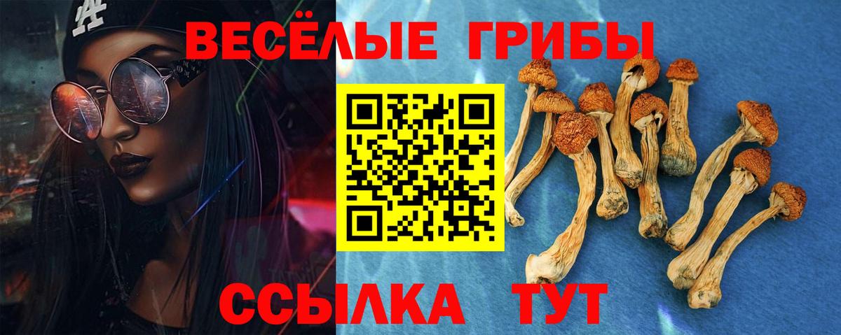 Псилоцибиновые грибы мицелий Выкса